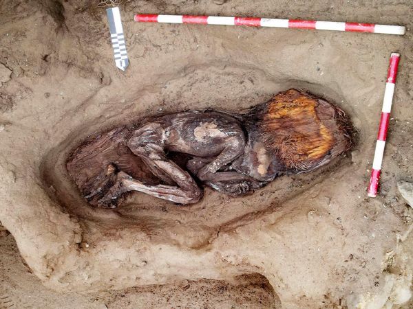 Tumba mujer de 5 mil años