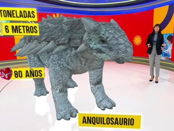 Conciencia 24.7 en 24 Horas: 24 de abril de 2025