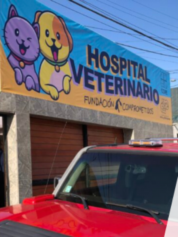 Fiscalía de Copiapó sumará cinco nuevos imputados por corrupción en convenios de Fundación Comprometidos