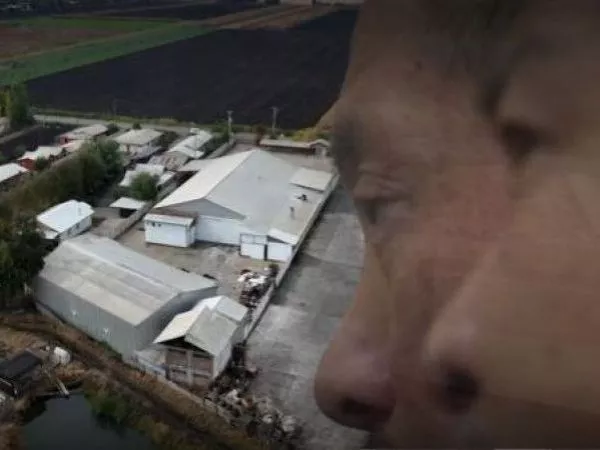 Cae enlace en Chile de mafia china transnacional que tenía megaplantación de marihuana en Rengo