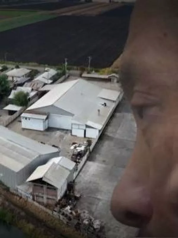 Cae enlace en Chile de mafia china transnacional que tenía megaplantación de marihuana en Rengo