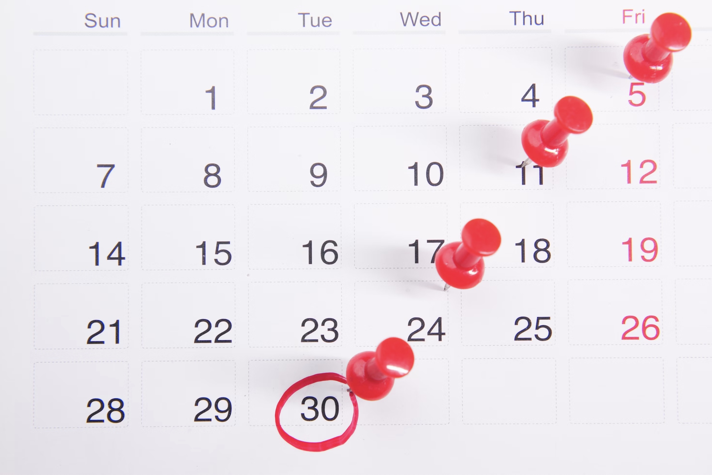 Calendario