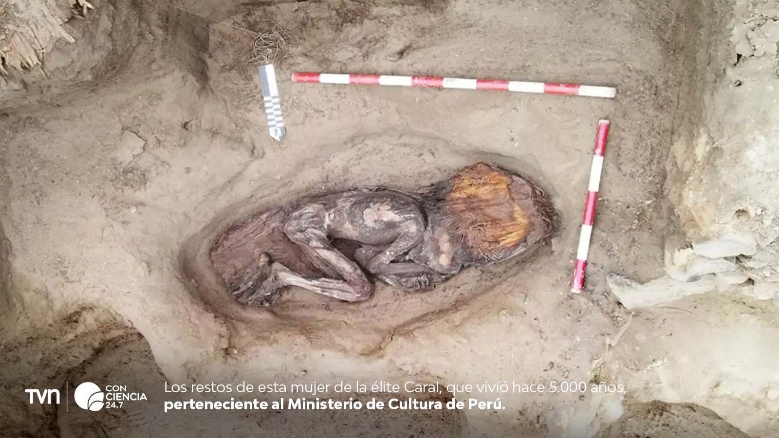 Restos de mujer de élite de la cultura Caral hallados en sitio arqueológico Áspero, Perú