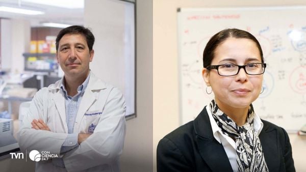 Alexis Kalergis y Susan Bueno.