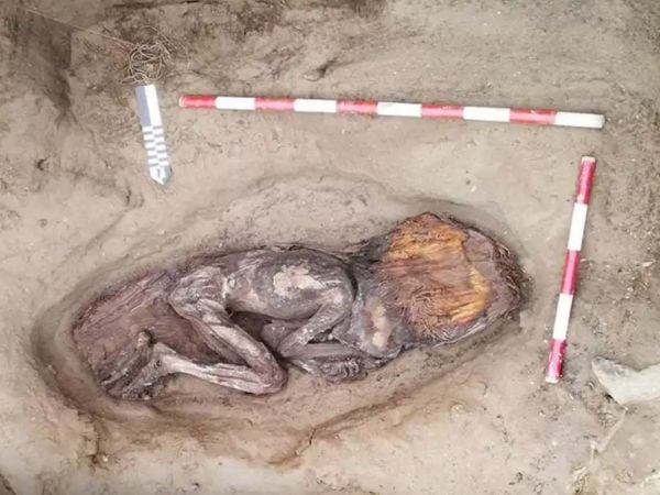 Restos de mujer de élite de la cultura Caral hallados en sitio arqueológico Áspero, Perú