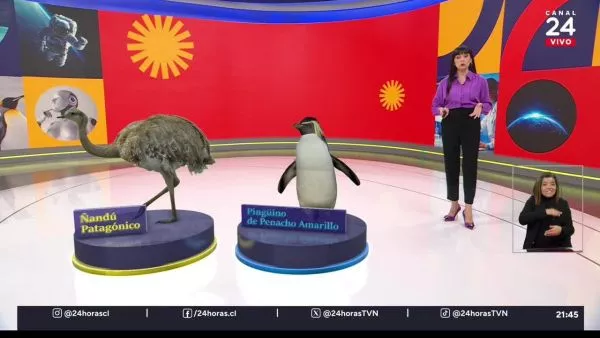 Conciencia 24.7 en 24 Horas: 1 de mayo de 2025