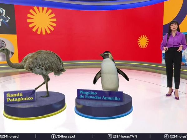 Conciencia 24.7 en 24 Horas: 1 de mayo de 2025