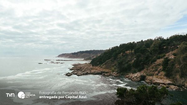 Pescadores artesanales chilenos junto a autoridades locales en el lanzamiento del programa de conservación marina en Ventanas, Valparaíso.