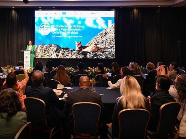 Autoridades y expertos reunidos en Santiago para la 6.ª Conferencia BIOFIN, el mayor encuentro global sobre financiamiento de biodiversidad.