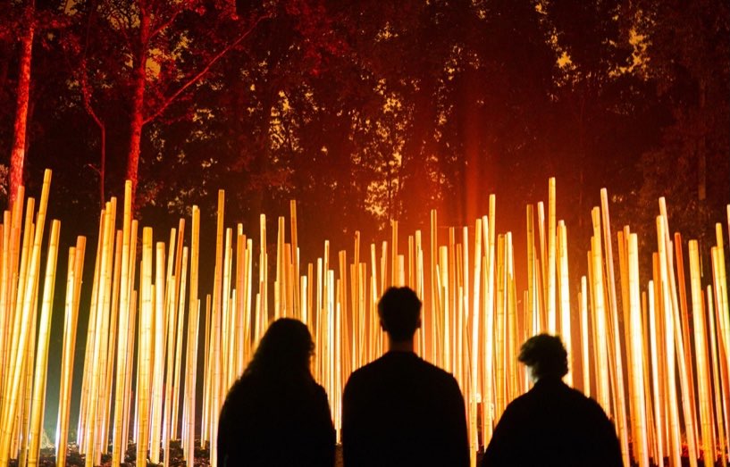 Light Cycles