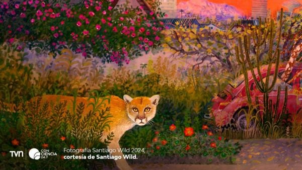 Proyección inaugural del festival Santiago Wild 2025 en el Centro Cultural La Moneda.