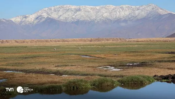 Humedal Urbano Quilicura.