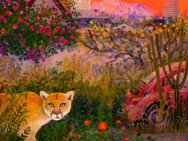 Proyección inaugural del festival Santiago Wild 2025 en el Centro Cultural La Moneda.