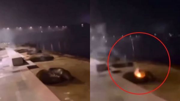 Fuegos artificiales a lobos marinos en Valdivia