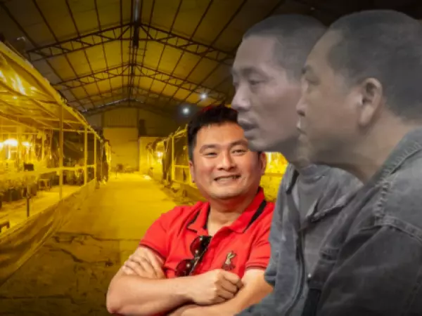 Capo de mafia china detectada en Rengo tendría su centro de operaciones en Inglaterra