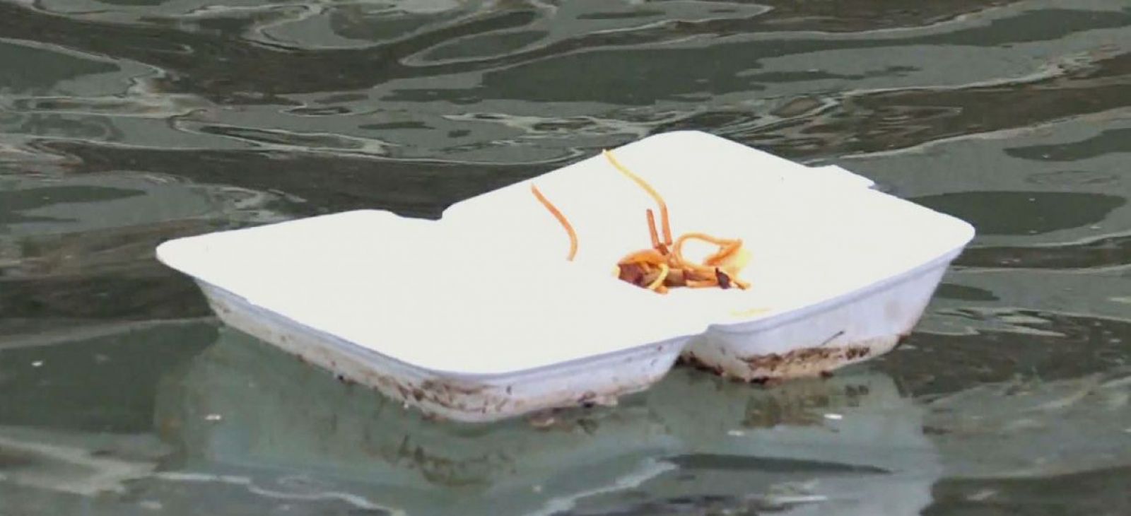 Frontera Azul: el mar es el símbolo de la crisis ecológica