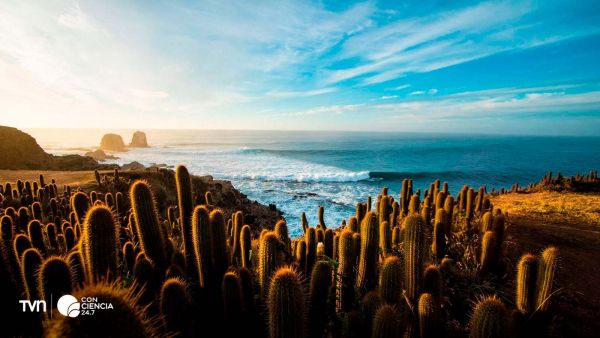 Funcionarios del Parque Punta de Lobos toman muestras de aire para monitoreo climático en Pichilemu, Chile.