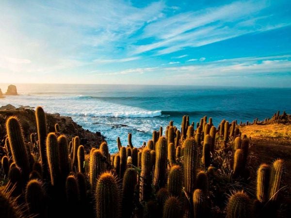 Funcionarios del Parque Punta de Lobos toman muestras de aire para monitoreo climático en Pichilemu, Chile.
