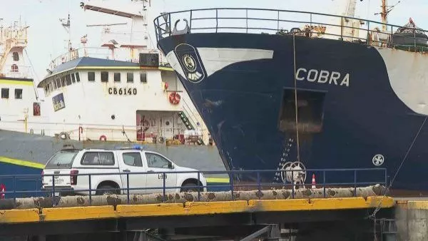 Buque cobra