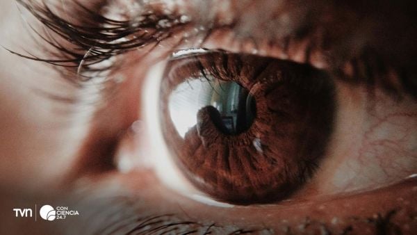 Foto de ojo referencial de un lente de contacto.