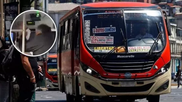 Pelea micro Viña del Mar