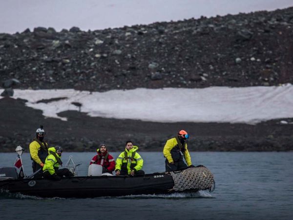 Microorganismos virales recolectados en bahía Chile durante expedición científica antártica.