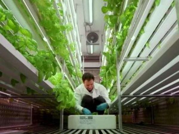 Conoce el emprendimiento Verde Vertical