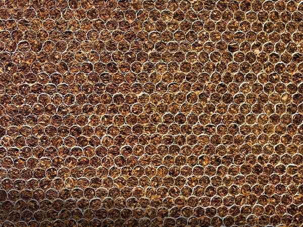 Cigarrillos y tabaco mostrados en una imagen artística.