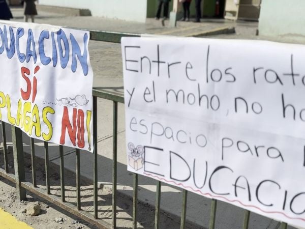 Denuncian plaga de ratones en escuela