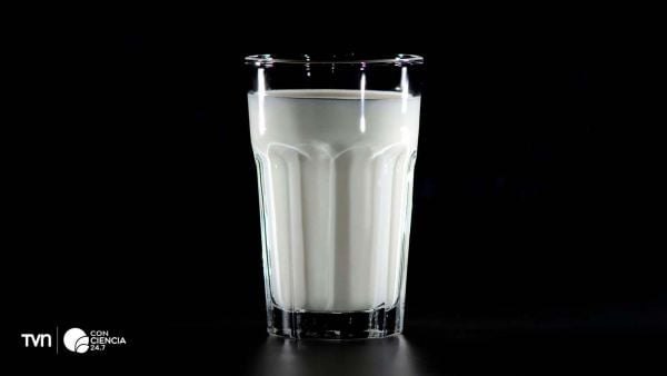 Vaso de leche destacando el Día Mundial de la Leche.