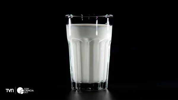 Vaso de leche destacando el Día Mundial de la Leche.