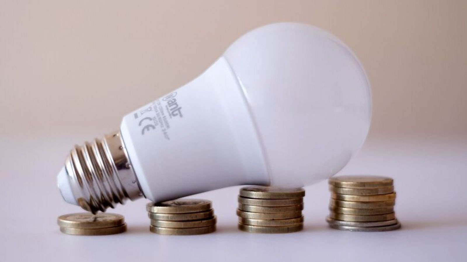 Subsidio Eléctrico. Luz - ampolleta.