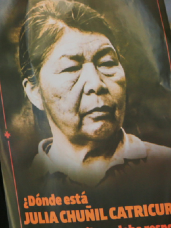 El informe de Fiscalía que deslizó “legítimas dudas” sobre recurso de amparo de los hijos de Julia Chuñil