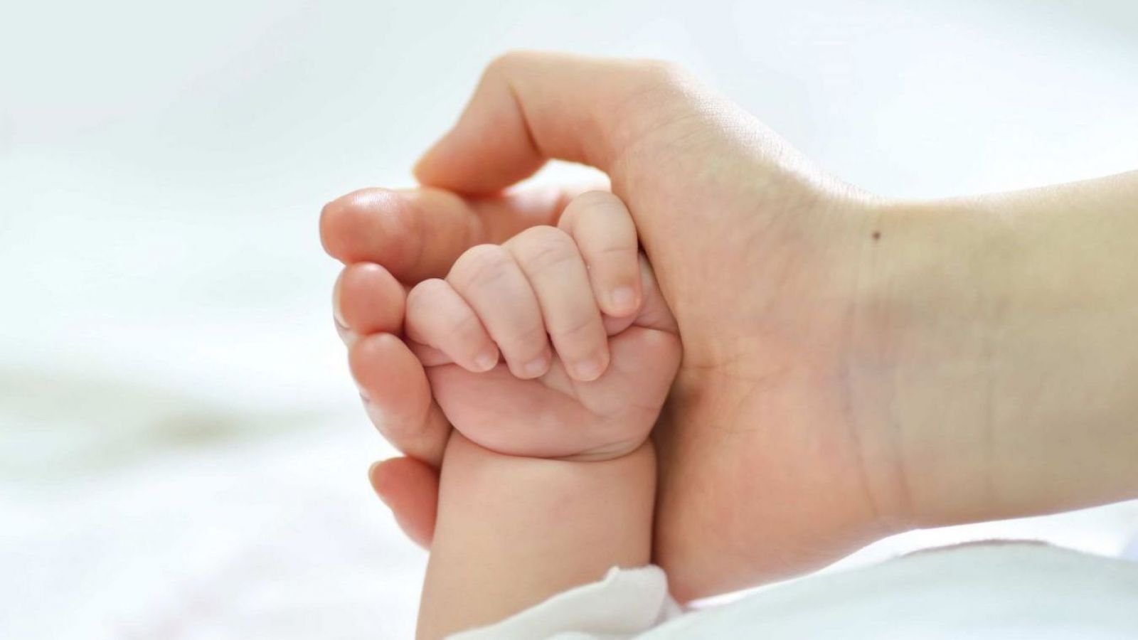 Mano de un bebé y persona adulta