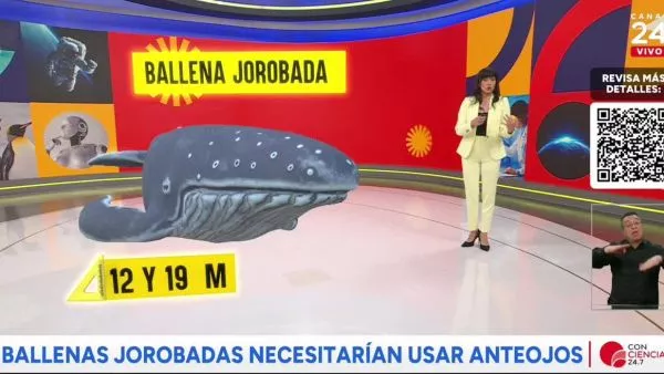 Conciencia 24.7 en 24 Horas: 5 de junio 2025.