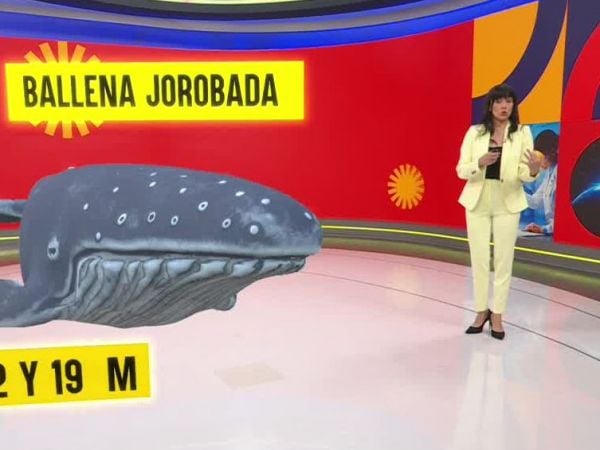 Conciencia 24.7 en 24 Horas: 5 de junio 2025.