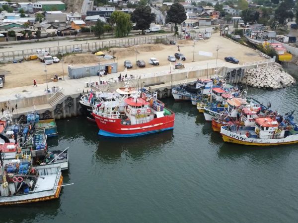 Denuncian pesca ilegal en Constitución