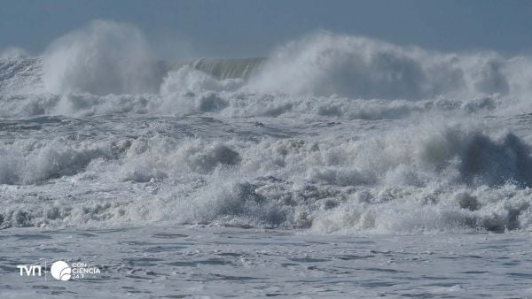 Acidificación de los océanos.