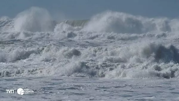 Acidificación de los océanos.