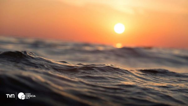 Fotografía del océano azul.