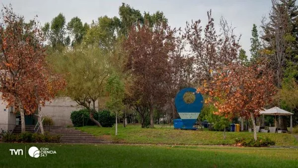 Parque del MIM donde irá el proyecto.