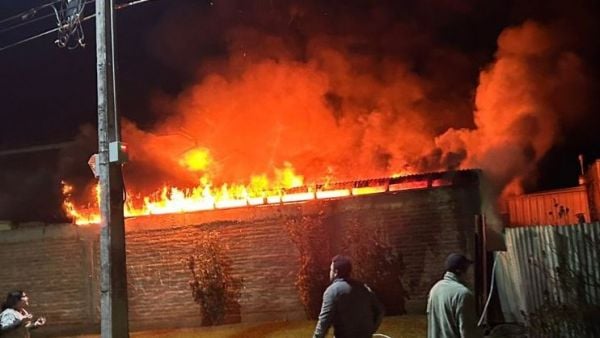 Incendio dejó más de 10 perros muertos