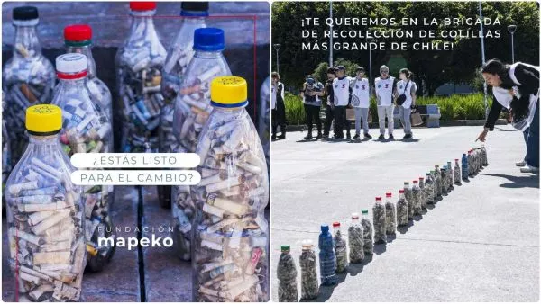 recolección de colillas de cigarro en botellas de plástico