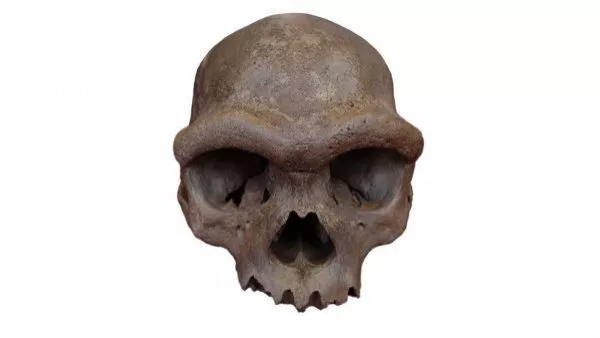 Cráneo de Harbin