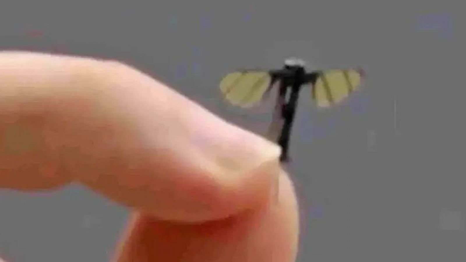 Minidron espía chino
