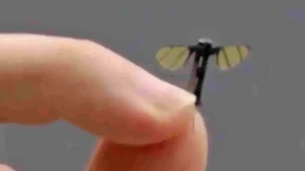 Minidron espía chino