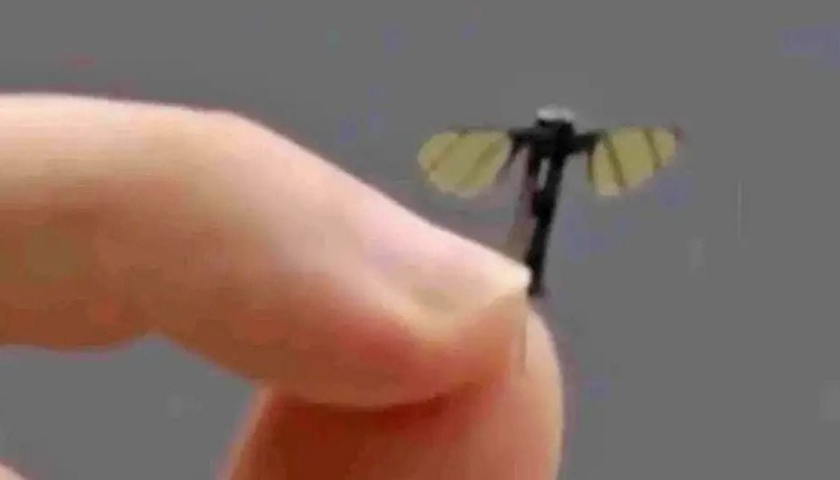 Así es el minidron espía chino del tamaño de un mosquito