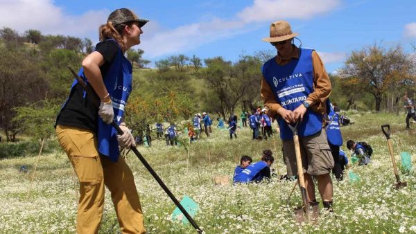 reforestación parque botánico