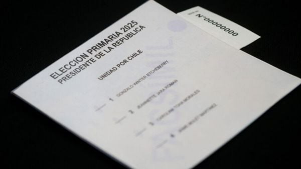 Facsímil electoral Primarias 2025