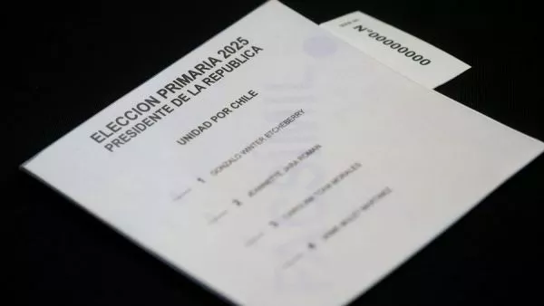 Facsímil electoral Primarias 2025